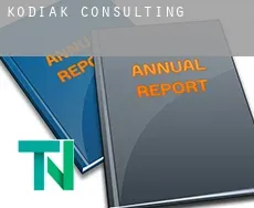 Kodiak  Consulting