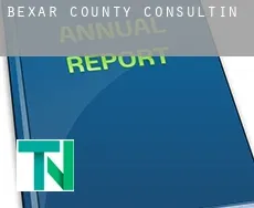 Bexar County  Consulting