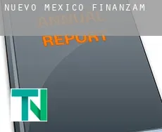 New Mexico  Finanzamt