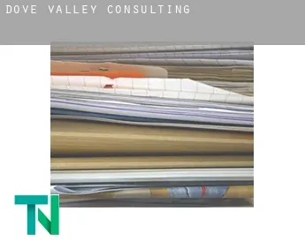 Dove Valley  Consulting