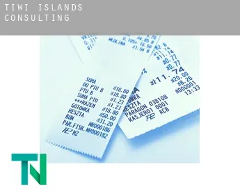 Tiwi Islands  Consulting