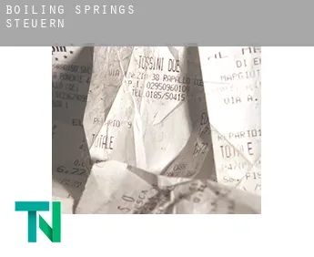 Boiling Springs  Steuern