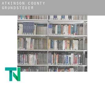 Atkinson County  Grundsteuer