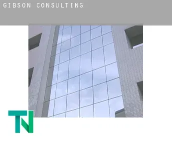 Gibson  Consulting