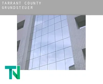 Tarrant County  Grundsteuer