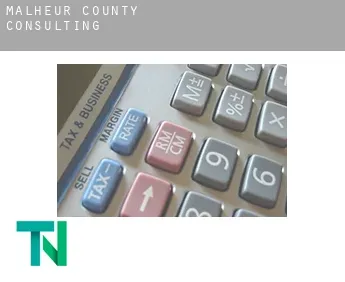 Malheur County  Consulting