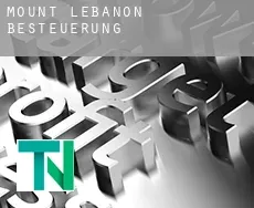 Mount Lebanon  Besteuerung