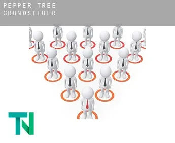 Pepper Tree  Grundsteuer