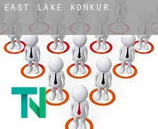 East Lake  Konkurs