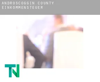 Androscoggin County  Einkommensteuer