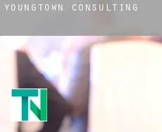 Youngtown  Consulting