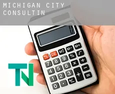 Michigan City  Consulting