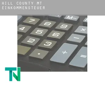 Hill County  Einkommensteuer