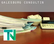 Galesburg  Consulting