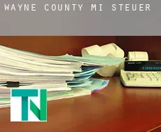Wayne County  Steuern