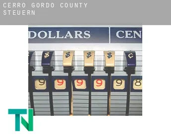 Cerro Gordo County  Steuern