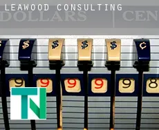 Leawood  Consulting