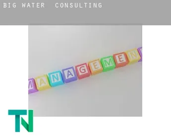 Big Water  Consulting