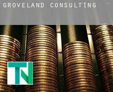 Groveland  Consulting