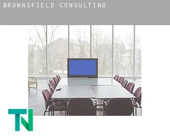 Brownsfield  Consulting
