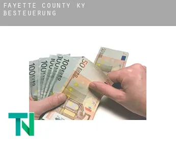 Fayette County  Besteuerung