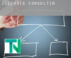 Illinois  Consulting