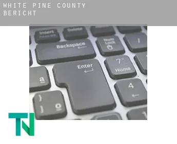 White Pine County  Bericht