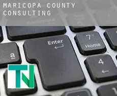 Maricopa County  Consulting