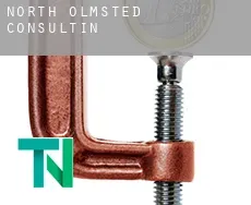 North Olmsted  Consulting
