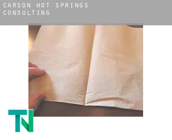 Carson Hot Springs  Consulting