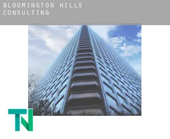 Bloomington Hills  Consulting
