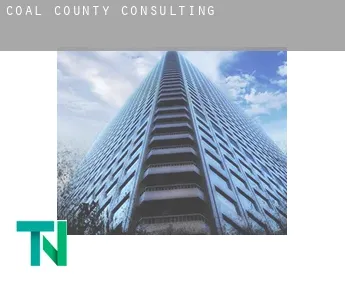 Coal County  Consulting