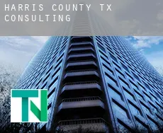Harris County  Consulting