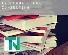 Lauderdale Lakes  Consulting