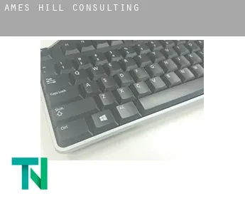 Ames Hill  Consulting