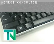 Monroe  Consulting