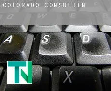 Colorado  Consulting
