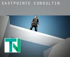 Eastpointe  Consulting