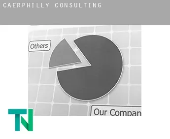 Caerphilly  Consulting