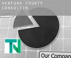 Ventura County  Consulting