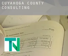 Cuyahoga County  Consulting