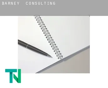 Barney  Consulting