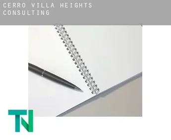 Cerro Villa Heights  Consulting