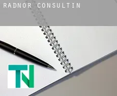 Radnor  Consulting
