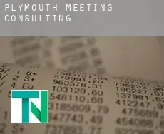 Plymouth Meeting  Consulting