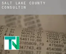 Salt Lake County  Consulting