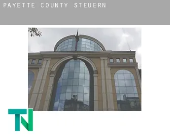 Payette County  Steuern