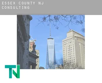 Essex County  Consulting