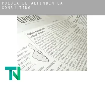 Puebla de Alfindén (La)  Consulting