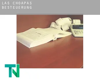 Las Choapas  Besteuerung